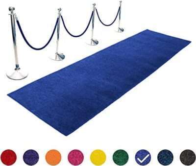 Stanchion with Carpet