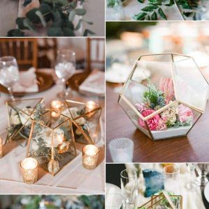 Modern geometric terrarium