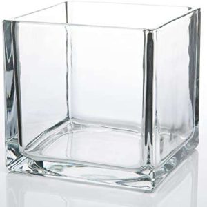 Square Glass Cube vase 6"