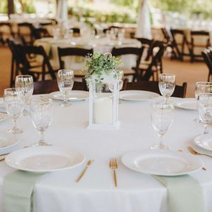 Elegant Tableware Package for Up to 100 People