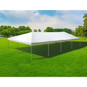 30' x 60' Tent (Seats 150-180 Guests)